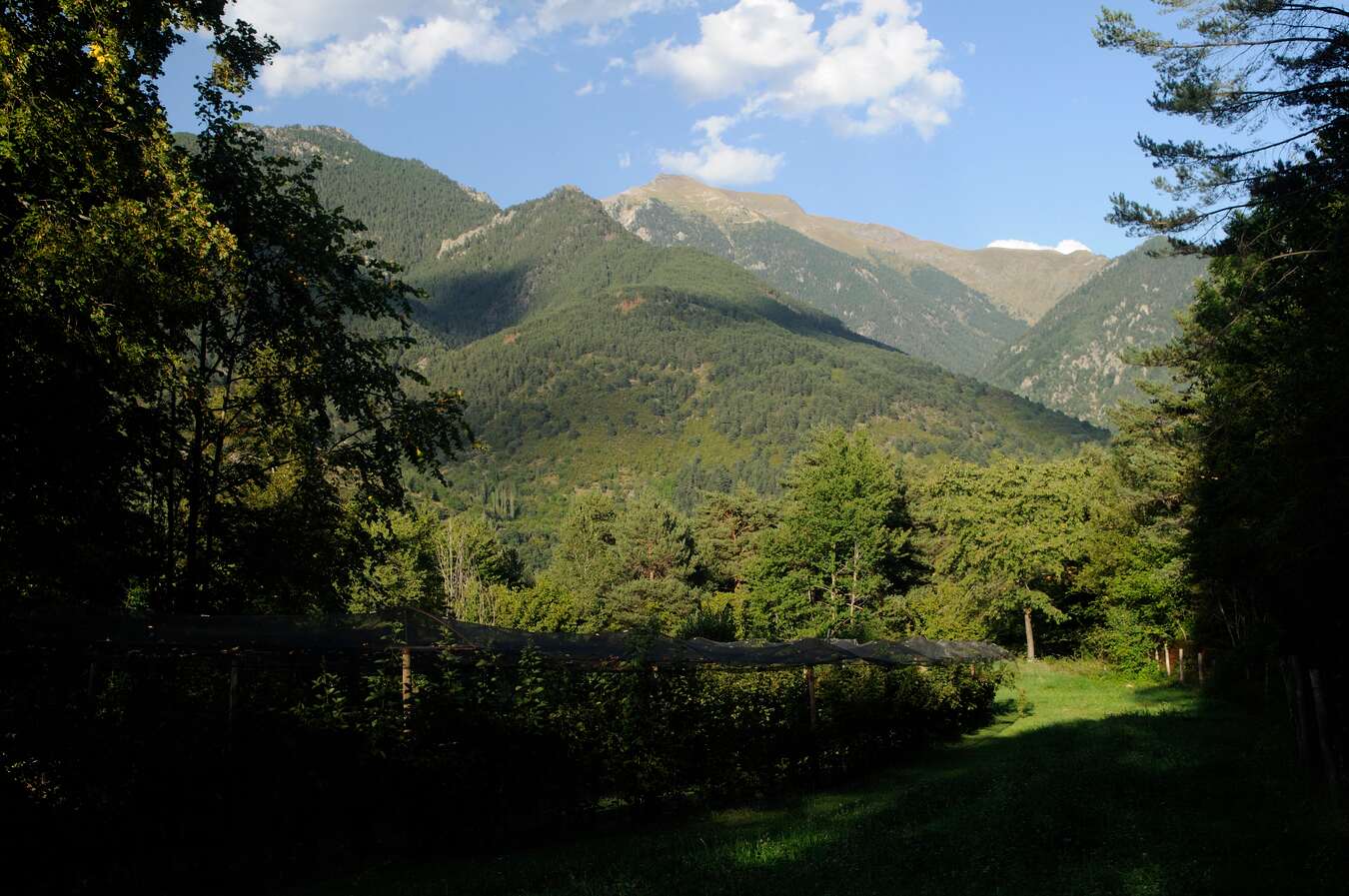 mermeladas artesanales pirineo